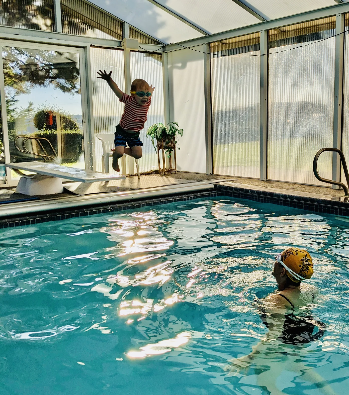 Little Fish North - heated greenhouse pool in Kenmore